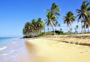 Bavaro Beach in the Dominican Republic