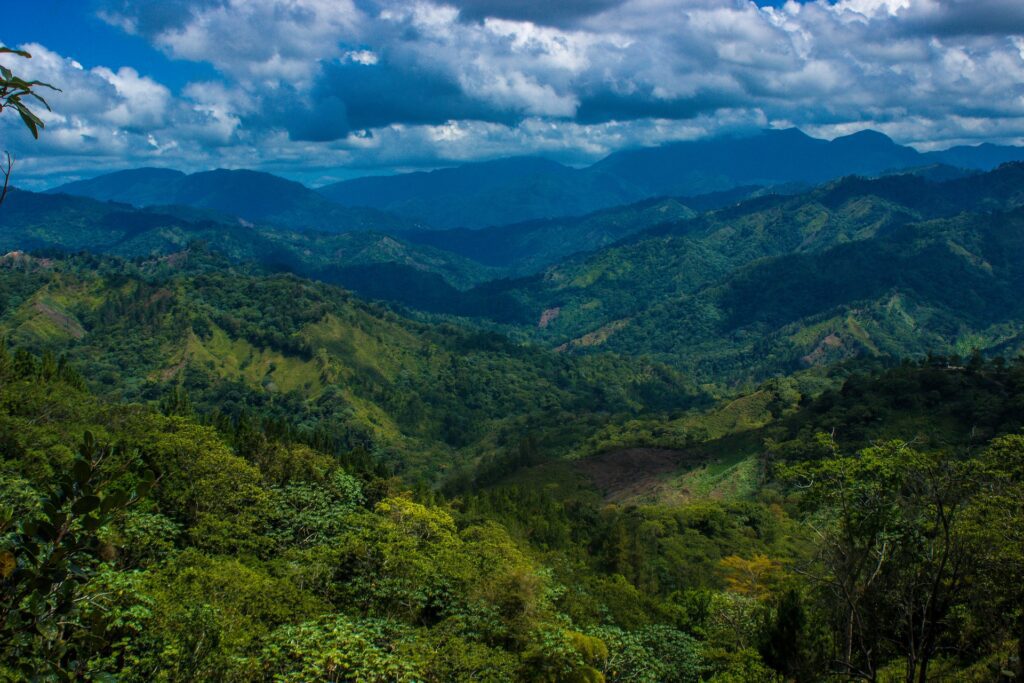 the forests of San Cristobal, Dominican Republic